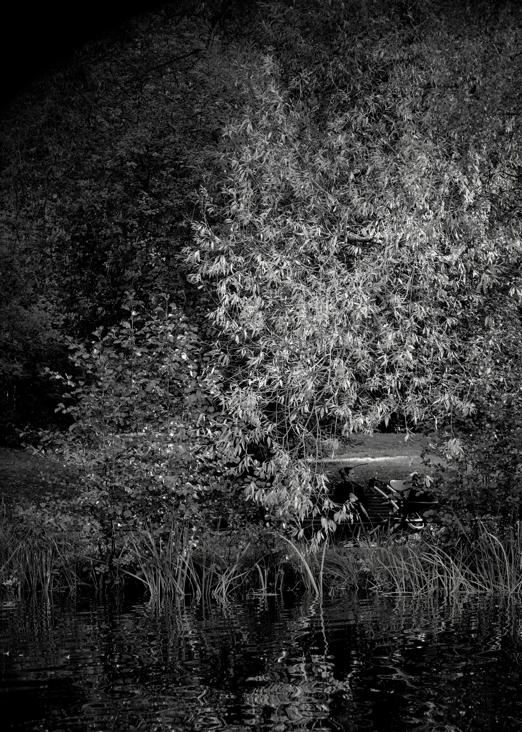 Relaxing in the park